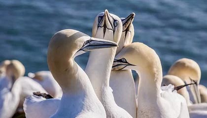 开云-科曼：梅西散步？劝你们别“看图说话”，别找事