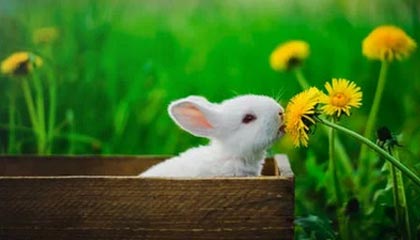 kaiyun-张振强赛季首次首发：表现中规中矩 0-0可以能接受